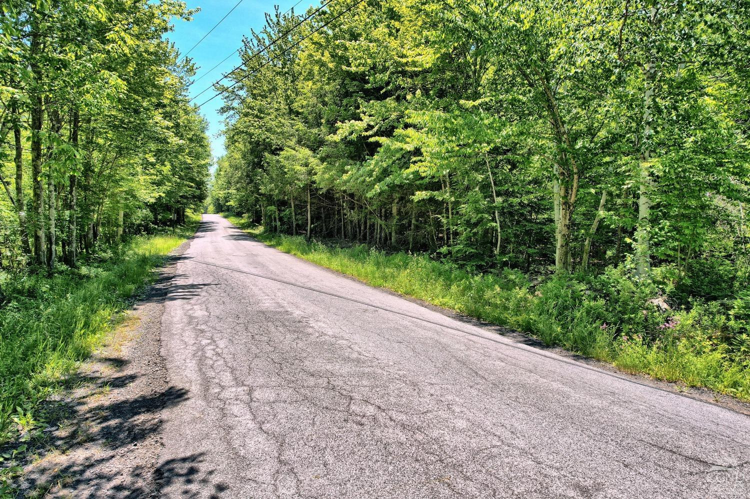 383 Begley Road Windham, NY 12496 - Photo 47 of 58 a view of a road with plants and large trees