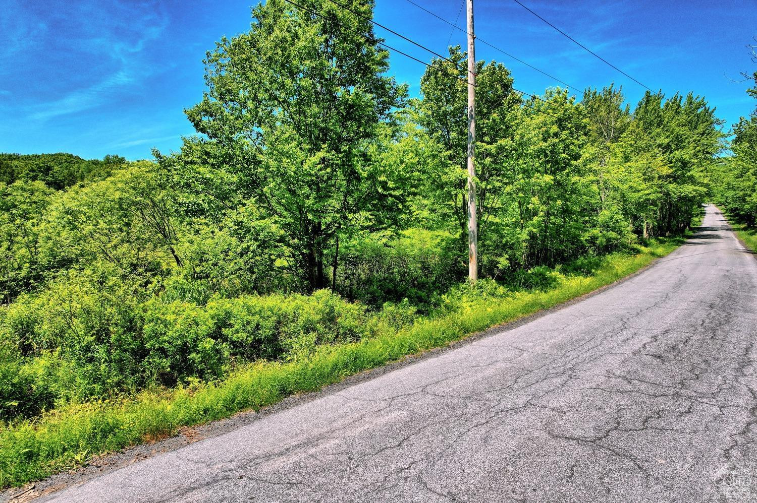 383 Begley Road Windham, NY 12496 - Photo 48 of 58 a green field with lots of bushes