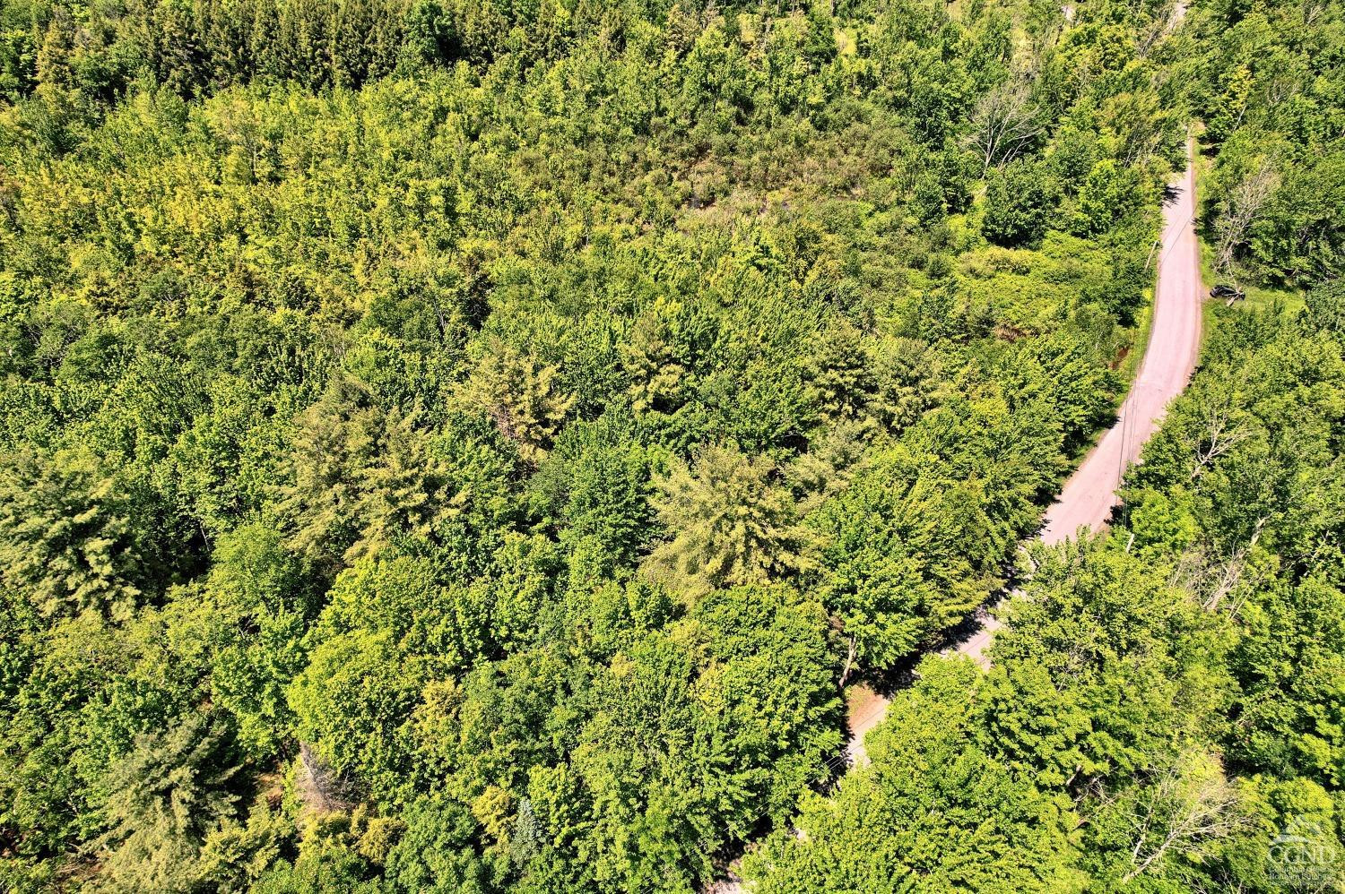 383 Begley Road Windham, NY 12496 - Photo 52 of 58 a view of a plants and white wall