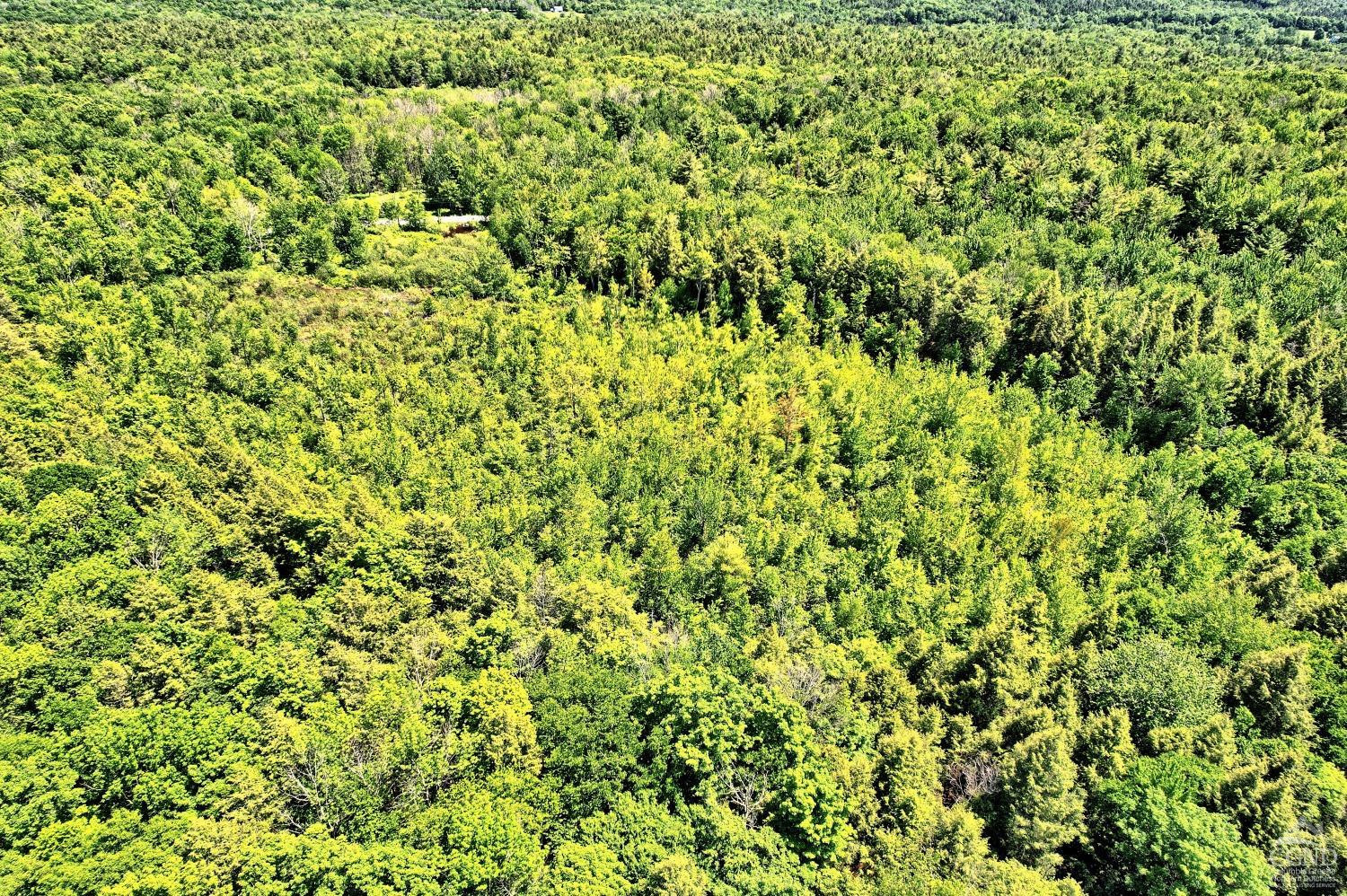 383 Begley Road Windham, NY 12496 - Photo 53 of 58 Photo 53