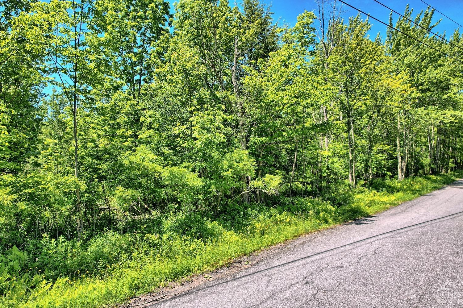 383 Begley Road Windham, NY 12496 - Photo 56 of 58 a view of a garden