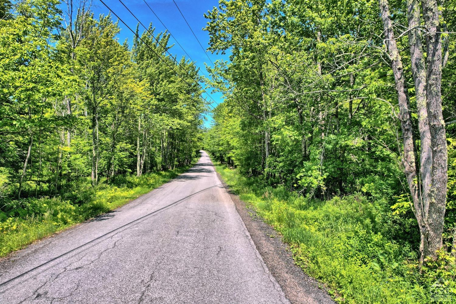 383 Begley Road Windham, NY 12496 - Photo 57 of 58 a view of a garden with plants and large trees