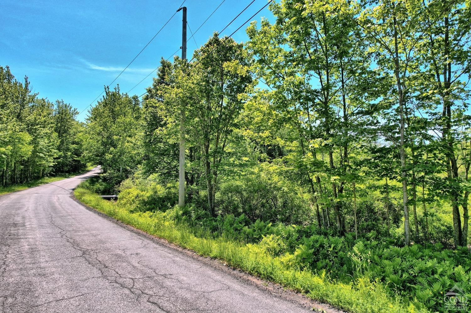 383 Begley Road Windham, NY 12496 - Photo 58 of 58 a view of a garden