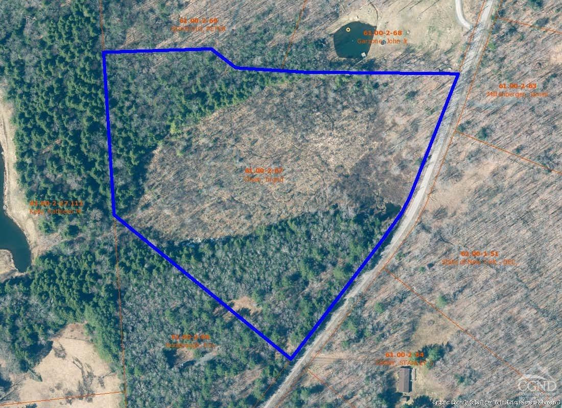 383 Begley Road Windham, NY 12496 - Photo 6 of 58 a view of a backyard