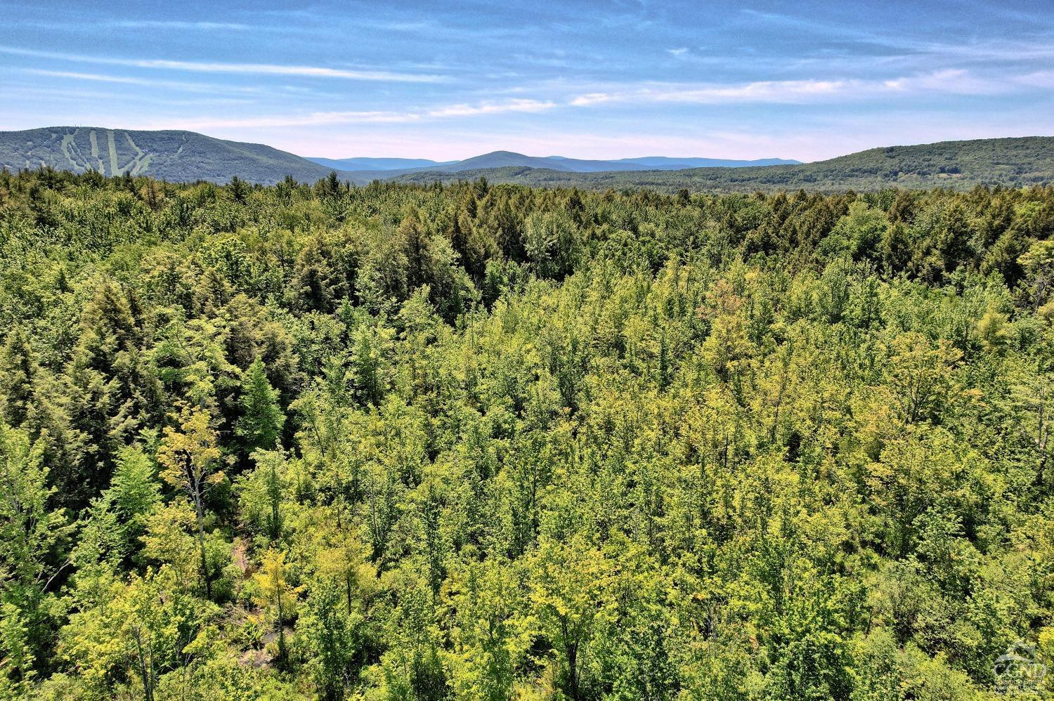 383 Begley Road Windham, NY 12496 - Photo 8 of 58 Photo 8