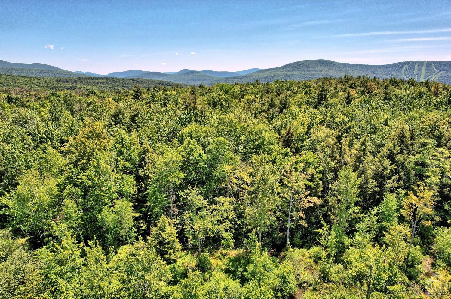 383 Begley Road Windham, NY 12496 - Photo 9 of 58 a view of a city with lush green forest