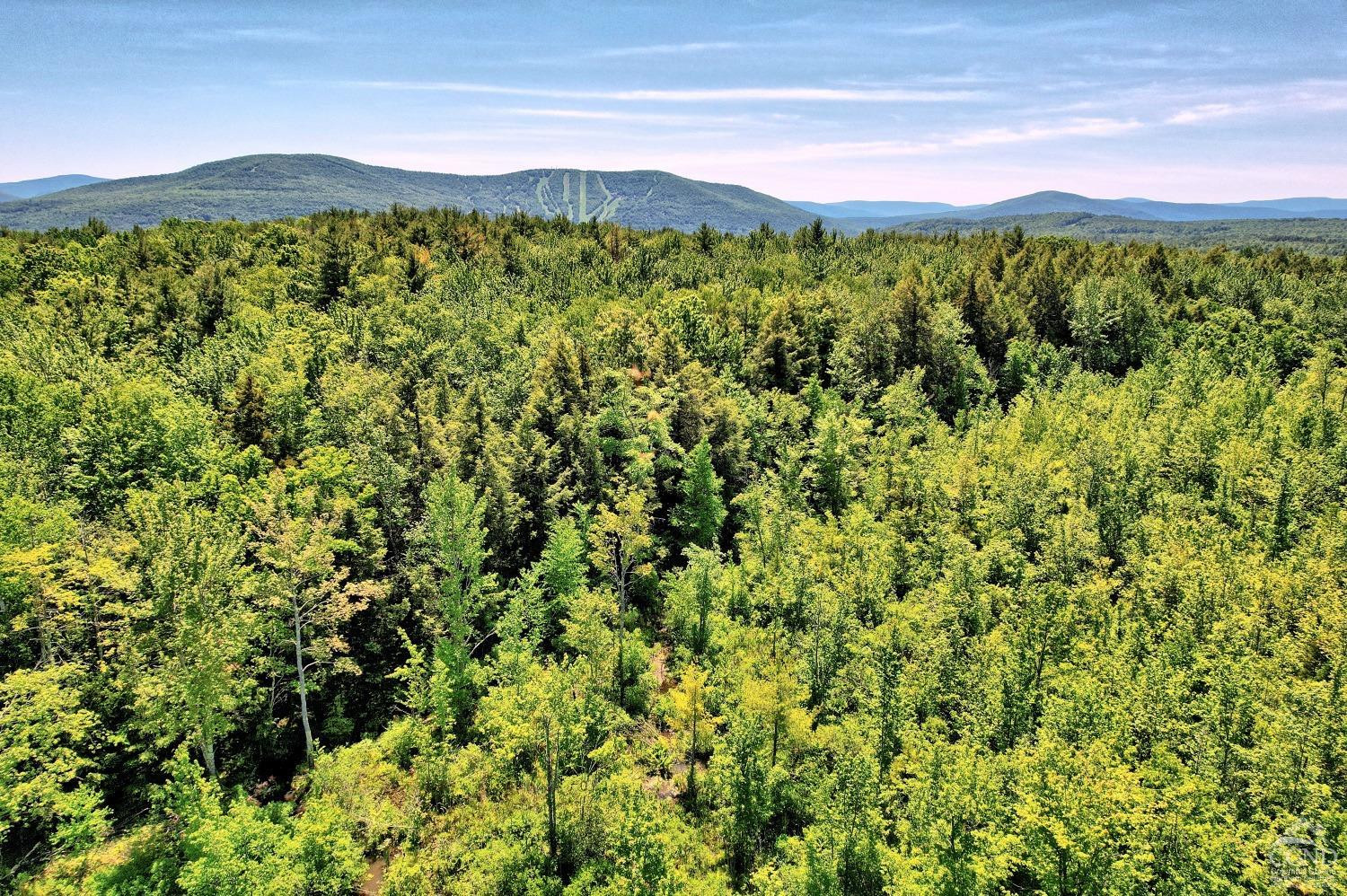 383 Begley Road Windham, NY 12496 - Photo 10 of 58 a view of a large yard with lots of green space