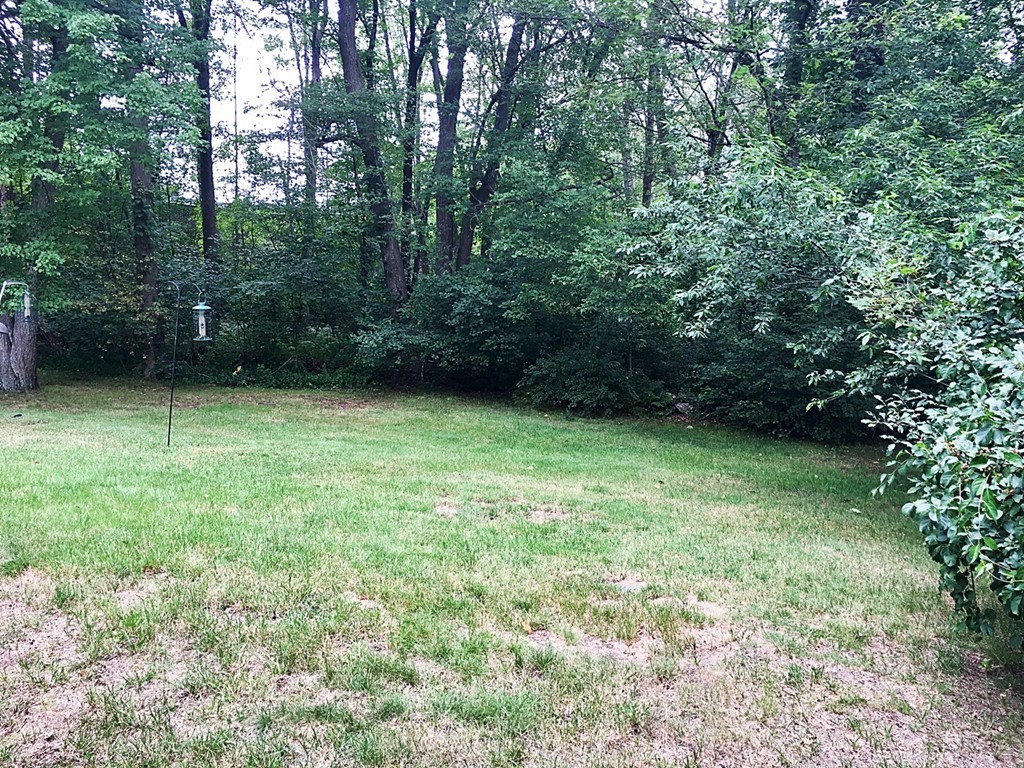 15 Walsh Road Bedford, MA 01730 - Photo 13 of 17 Gallery Image 13