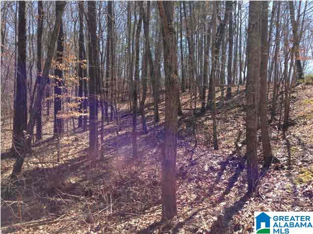 0 Woolfolk Road, Unit 3 ACRES Munford, AL 36268 - Photo 20 of 24