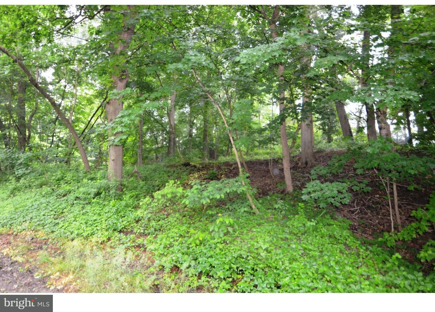 500 Lake Road Avondale, PA 19311 - Photo 3 of 6 Gallery Image 3