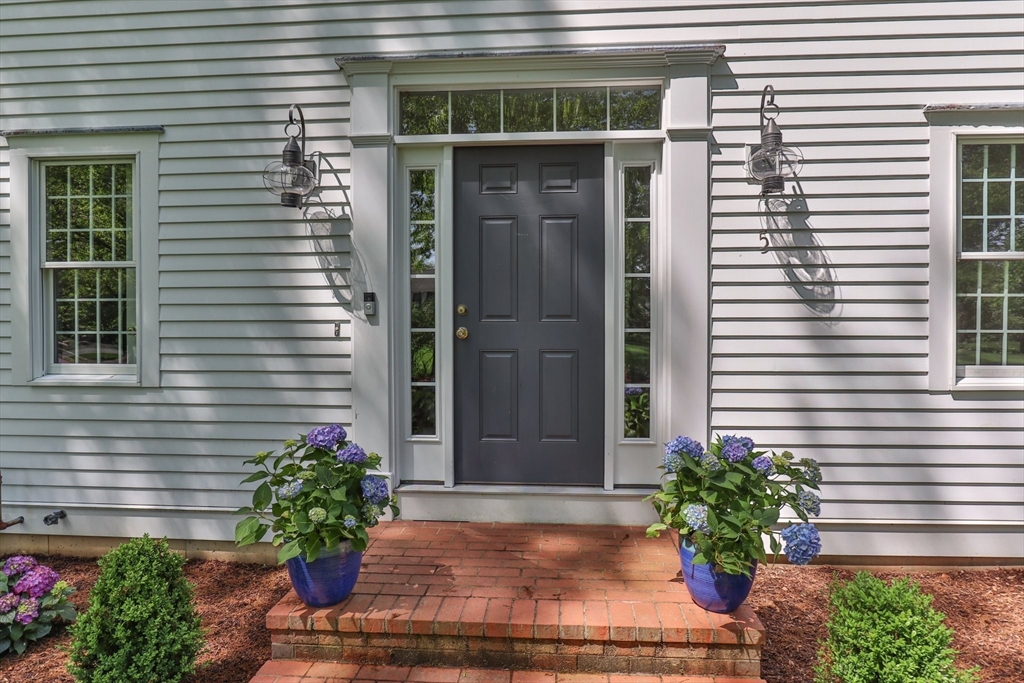 a view of front door and potted plants