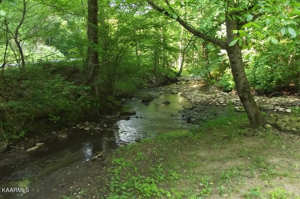 2490 Long Creek Road Del Rio, TN 37727 - Photo 11 of 21 long creek 10