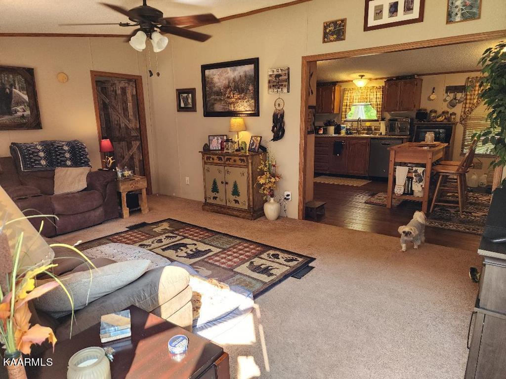 2490 Long Creek Road Del Rio, TN 37727 - Photo 15 of 21 long creek 15