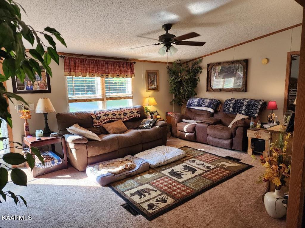 2490 Long Creek Road Del Rio, TN 37727 - Photo 17 of 21 long creek 17