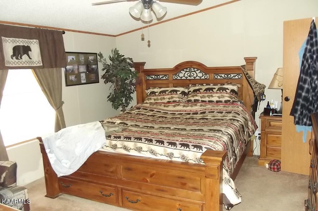 2490 Long Creek Road Del Rio, TN 37727 - Photo 19 of 21 long creek 19