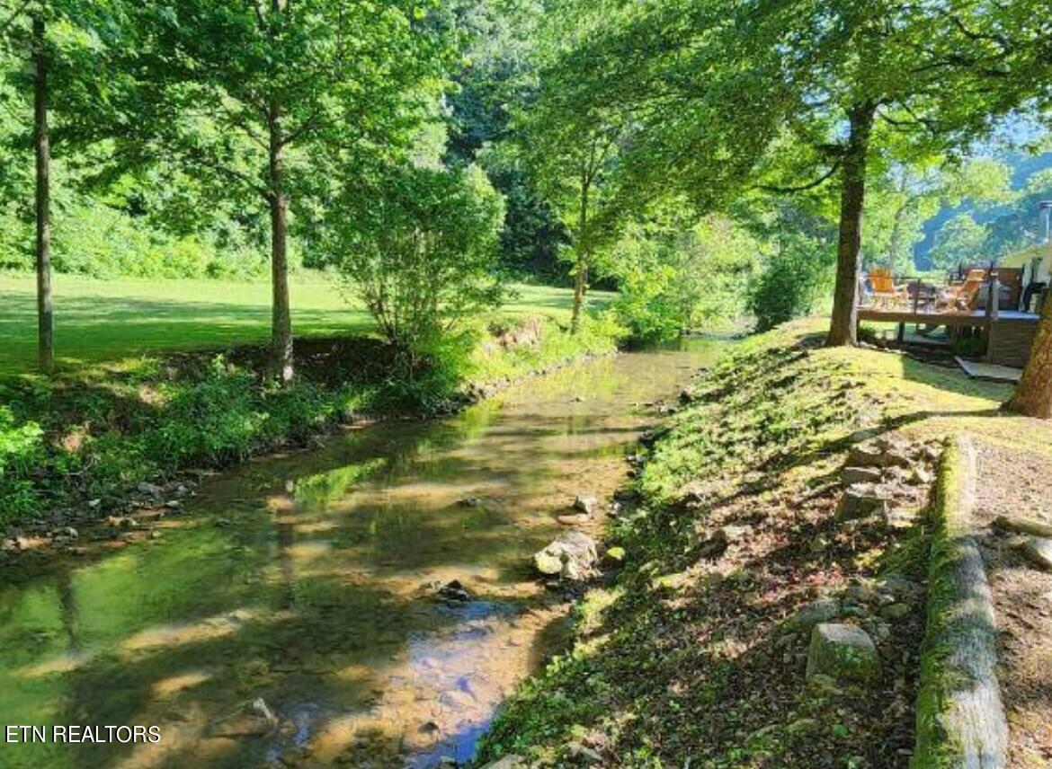 2490 Long Creek Road Del Rio, TN 37727 - Photo 2 of 21 long creek creek