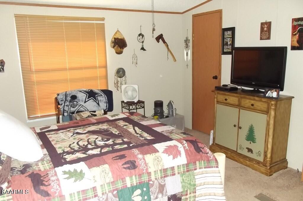 2490 Long Creek Road Del Rio, TN 37727 - Photo 21 of 21 long creek 21