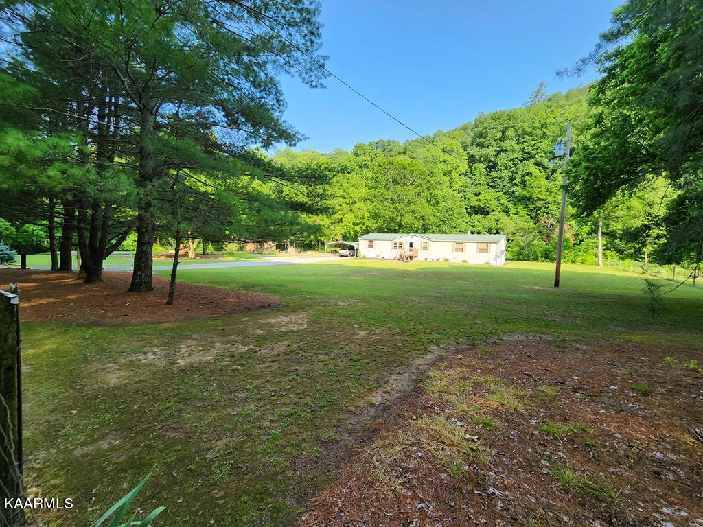 2490 Long Creek Road Del Rio, TN 37727 - Photo 6 of 21 long creek 5