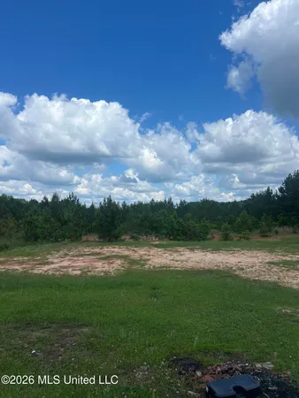 $40,000 | 48 Joe Traylor Road, Hattiesburg, MS 39402