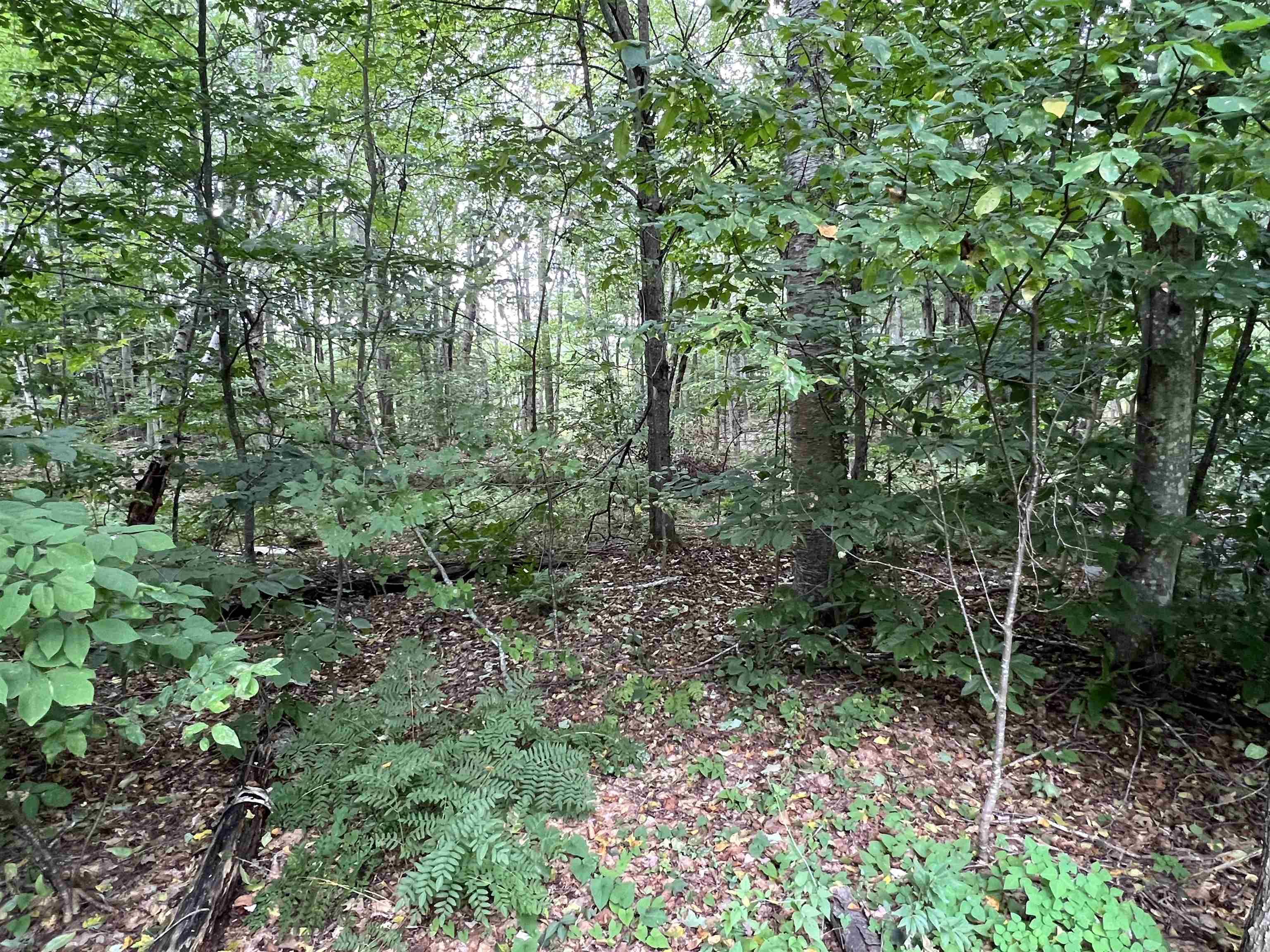 Lot 138 Deer Meadow Road, Unit 138 Webster, NH 03303 - Photo 1 of 2