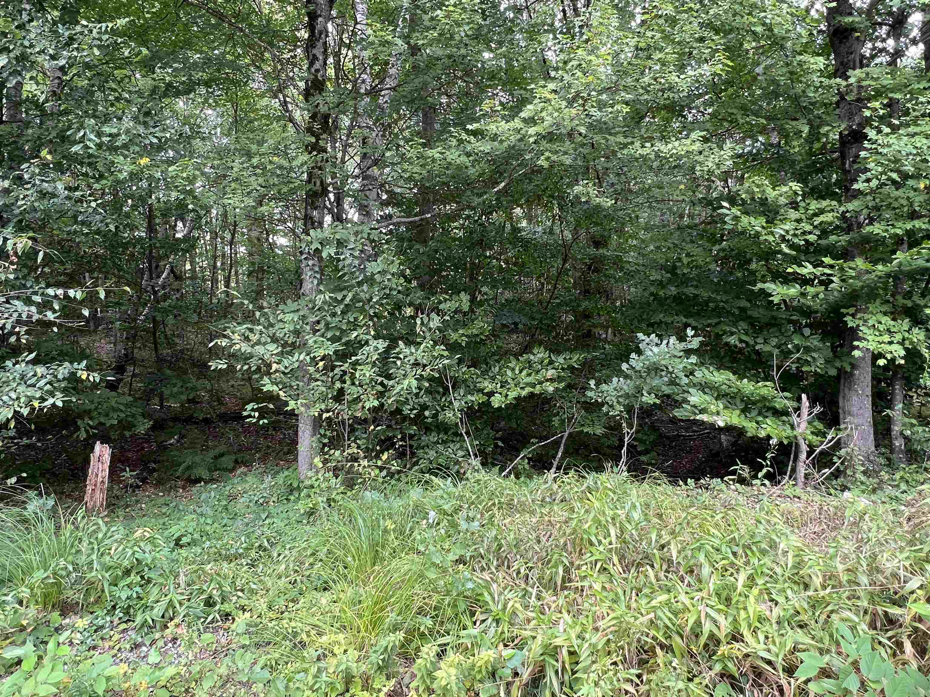 Lot 138 Deer Meadow Road, Unit 138 Webster, NH 03303 - Photo 2 of 2