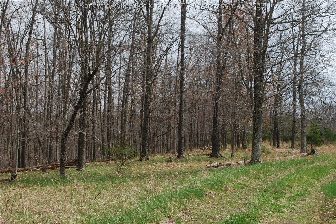 0 Mount Olive Road Milton, WV 25541 - Photo 6 of 17 Gallery Image 6