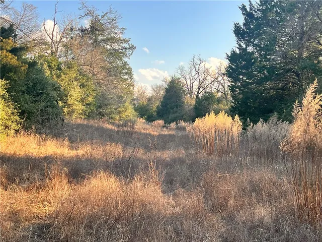 a view of lake with green space