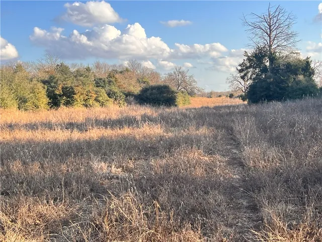 a view of a yard in front of a house