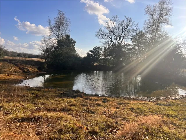 a view of a yard with plants and trees