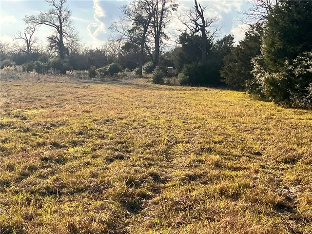 a view of yard covered with snow in outdoor space