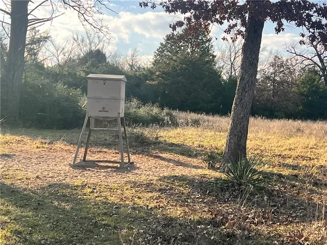 a wooden bench sitting in the middle of a forest