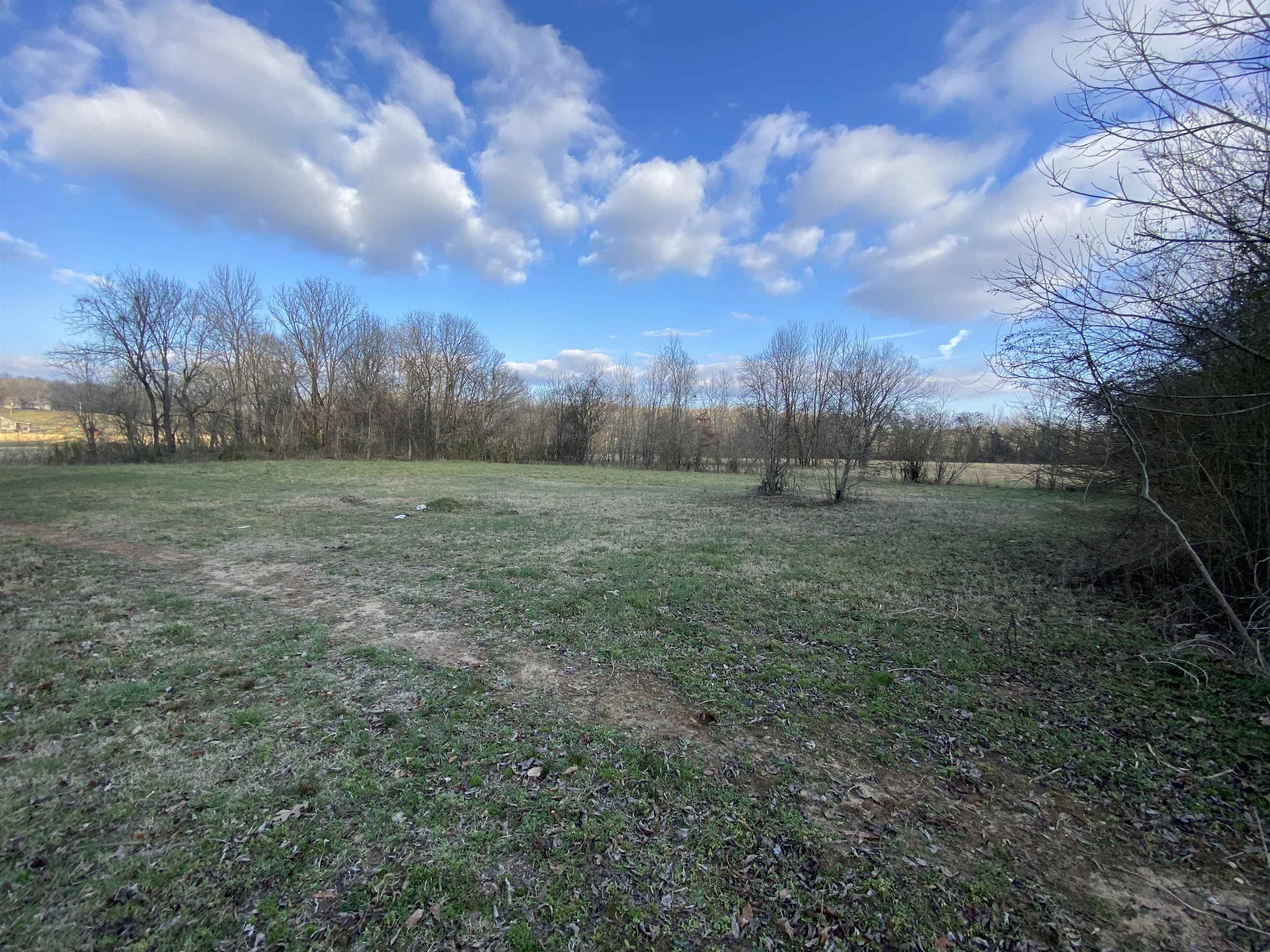 1270 Hudson Road Savannah, TN 38372 - Photo 25 of 37 Gallery Image 25