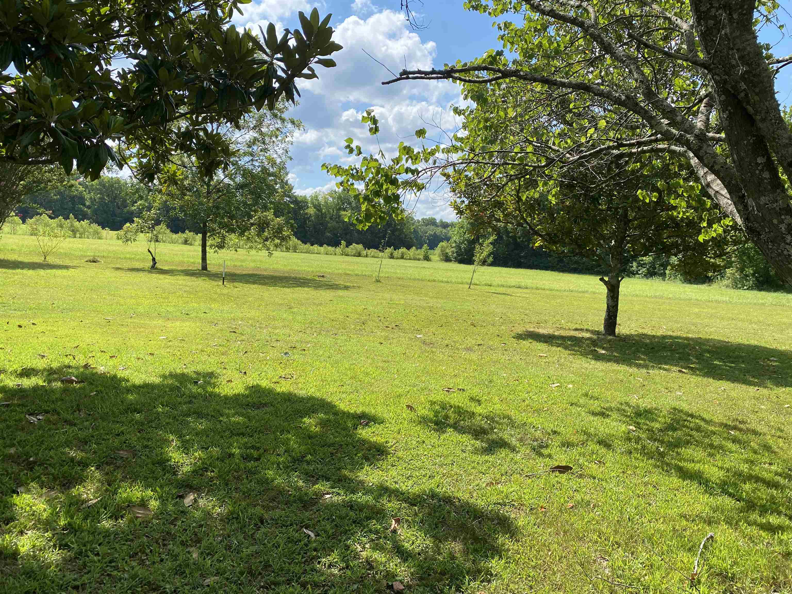 1270 Hudson Road Savannah, TN 38372 - Photo 34 of 37 Gallery Image 34