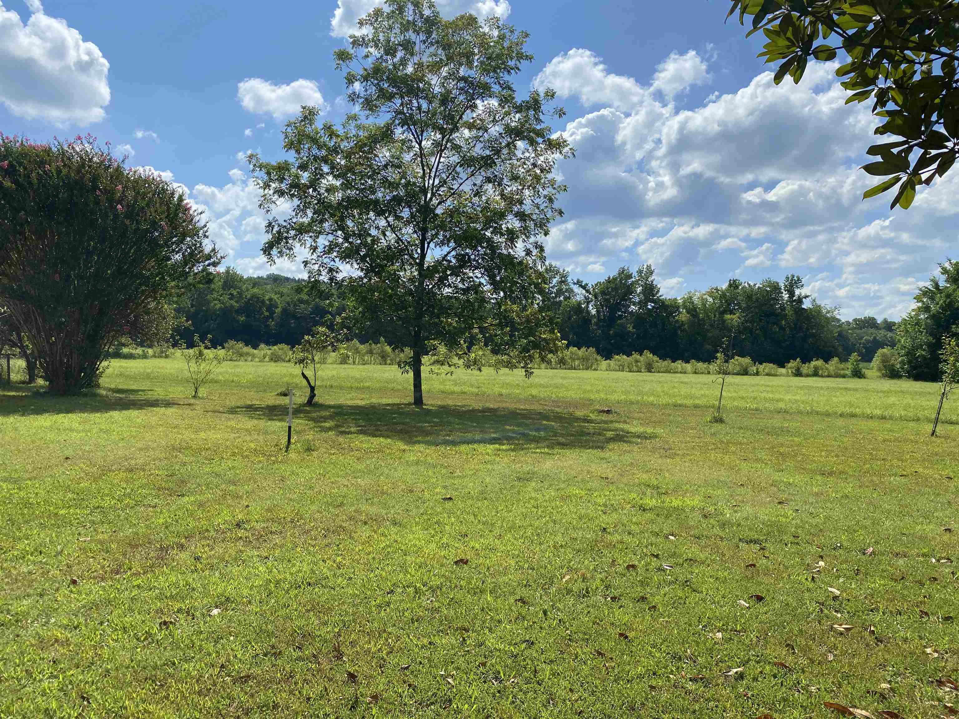 1270 Hudson Road Savannah, TN 38372 - Photo 35 of 37 Gallery Image 35