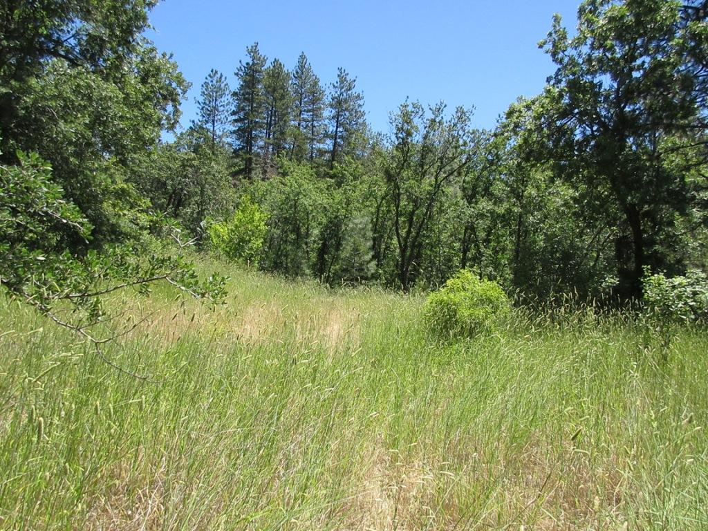 20-acres Old Stage Road Oak Run, CA 96069 - Photo 17 of 34 IMG_1950