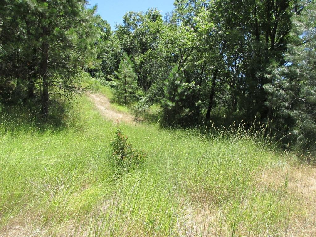 20-acres Old Stage Road Oak Run, CA 96069 - Photo 18 of 34 IMG_1954