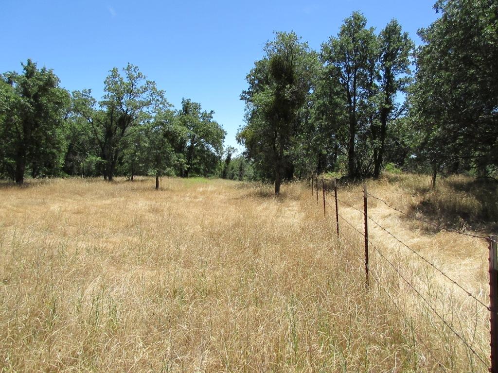 20-acres Old Stage Road Oak Run, CA 96069 - Photo 25 of 34 IMG_1964