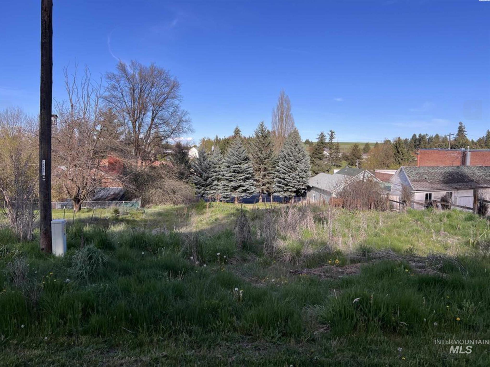 111 South High Street Uniontown, WA 99179 - Photo 3 of 3 View of nature