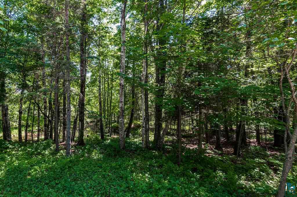 2850 Lakewood Junction Road Duluth, MN 55804 - Photo 16 of 20 Gallery Image 16