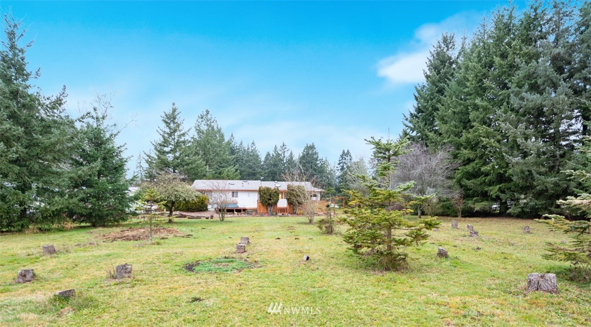 209 Vista Road Chehalis, WA 98532 - Photo 18 of 22 a view of a yard with large trees