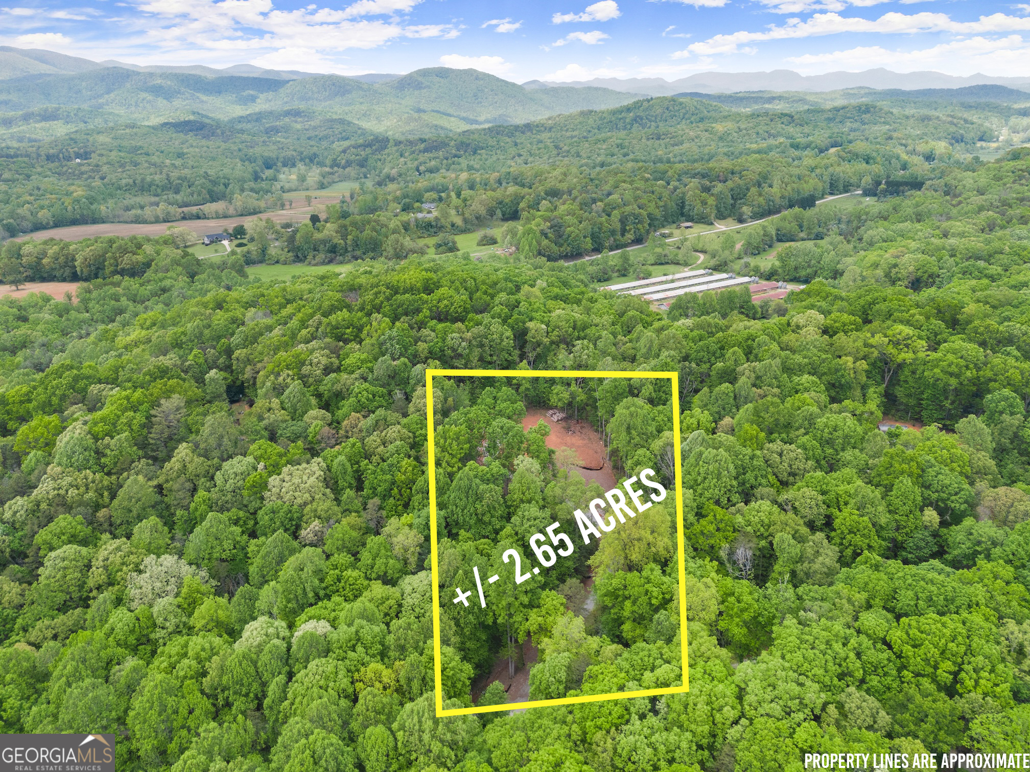 Lot 6 Meadowview Ridge Clarkesville, GA 30523 - Photo 1 of 23