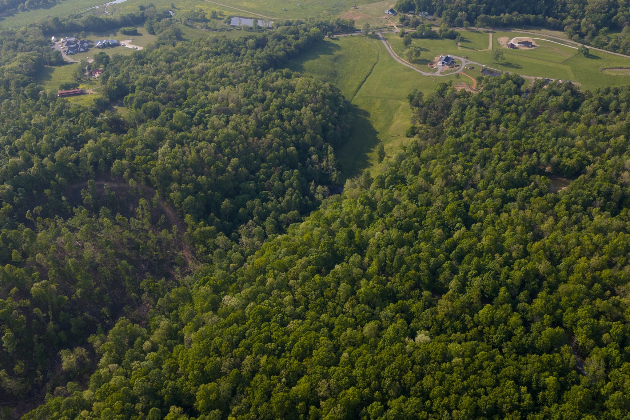 1 Pinewood Road Nunnelly, TN 37137 - Photo 11 of 12 Gallery Image 11