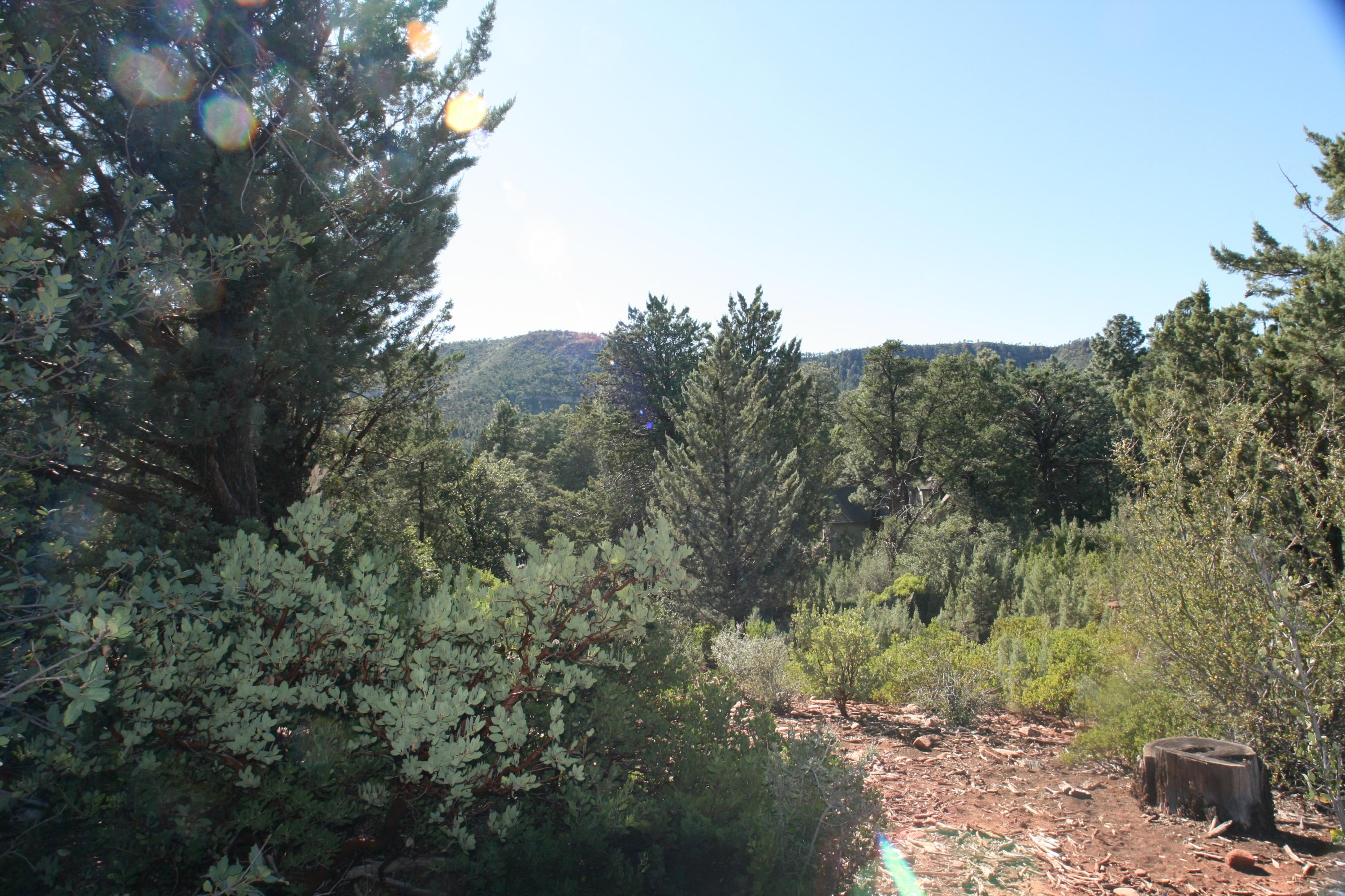 8 North H N Valley View Rd Pine Pine, AZ 85544 - Photo 8 of 9