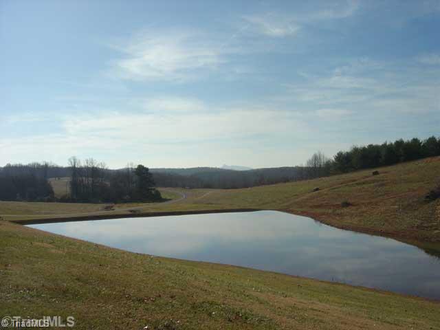 1281 Goin Road Westfield, NC 27053 - Photo 6 of 16 Other.