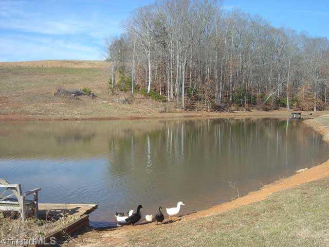 1281 Goin Road Westfield, NC 27053 - Photo 7 of 16 Other.