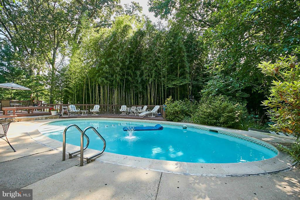1201 Swinks Mill Road McLean, VA 22102 - Photo 24 of 29 Pool