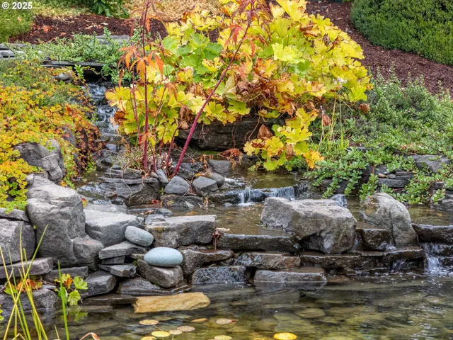 a view of swimming pool with lawn chairs and plants