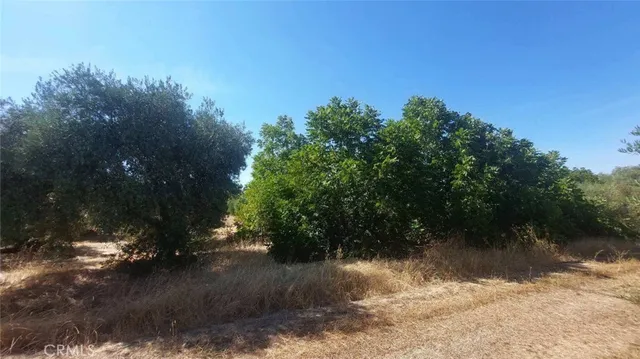a view of a lake with a yard