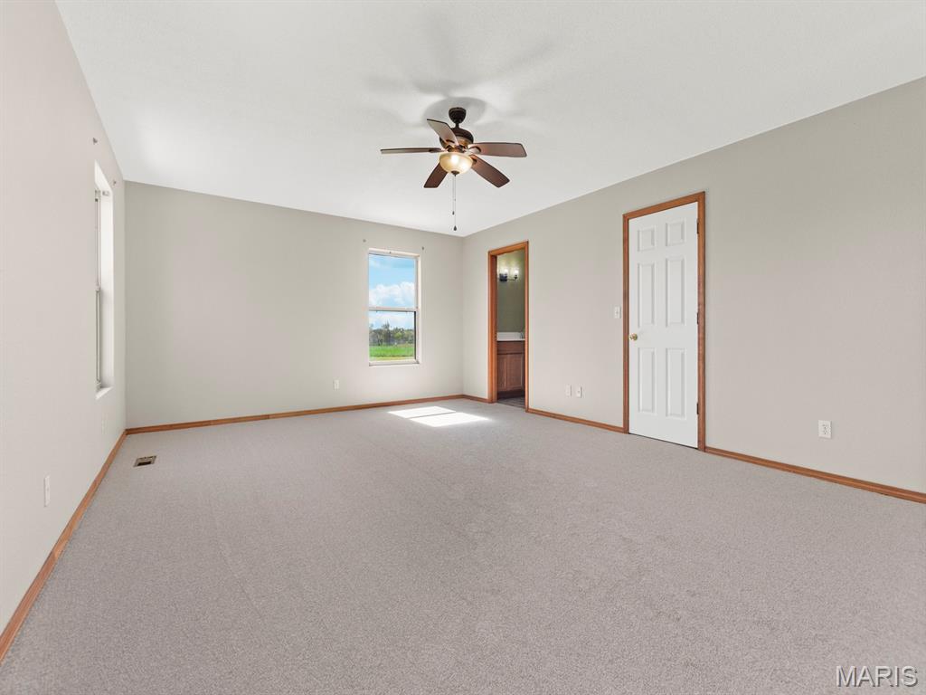 5919 Rachel Drive Waterloo, IL 62298 - Photo 15 of 61