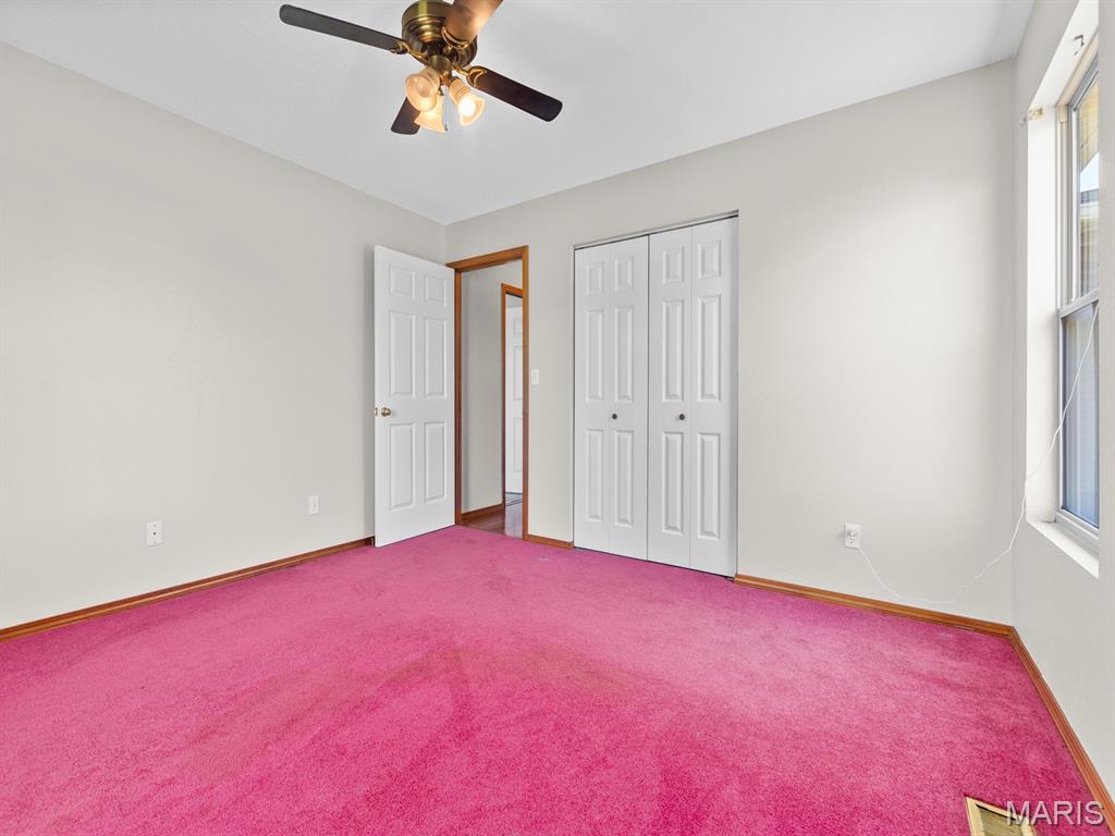 5919 Rachel Drive Waterloo, IL 62298 - Photo 21 of 61